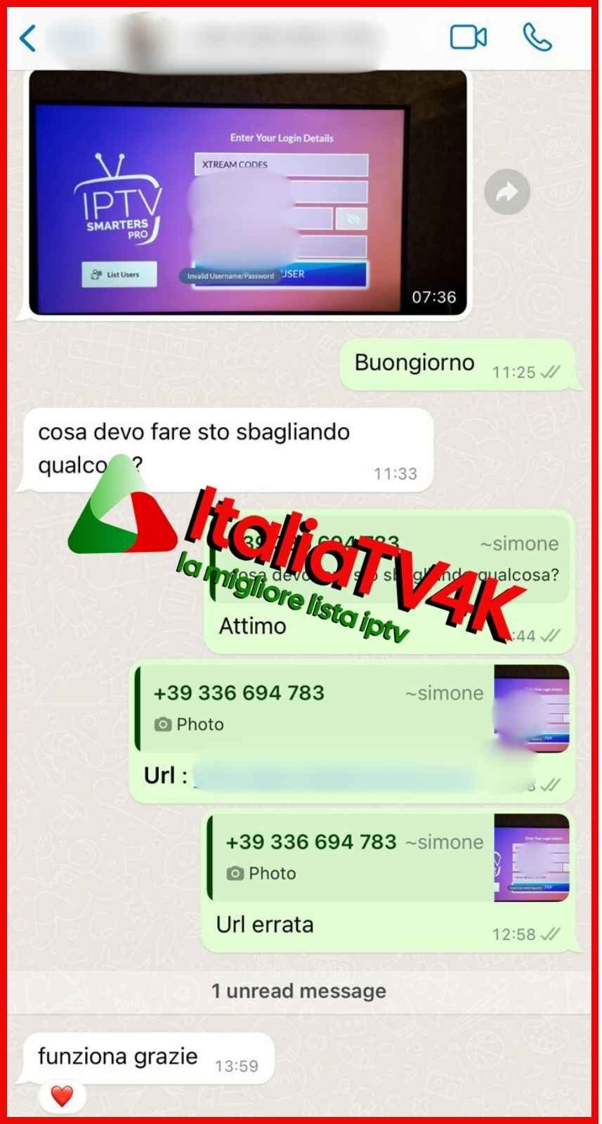 Untitled design (10)